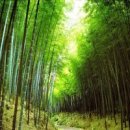 파도랑별이랑 이미지