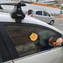 신성오토카써비스 이미지