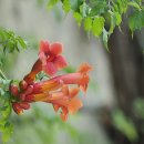 인화여자고등학교 이미지