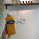 완월동179 | [요디] 마산카페 완월동카페 창원안에 제주도 한라봉에이드원샷