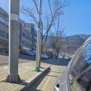 진등길 | [경남/양산시] 양산 콩나물 국밥, '현대옥 양산웅상주진점' 후기