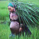 동강사진박물관 이미지