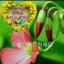 스마일건강