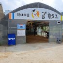 박사마을곰핫도그 네이버블로그