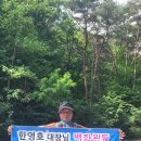 금오산 바닥조 이모 저모 이미지