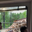 솔잎반 서우와 하늘반 서율이의 에버랜드 이야기🎡 이미지