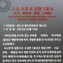 완도22호 이미지