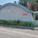 온천로(도산면) 이미지