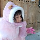 다솜펜션A | [안동 숙소 선성현문화단지한옥체험관] 가성비 최고 한옥 스테이👍