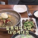 일품돼지국밥대명계대점