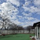 자유민박 이미지