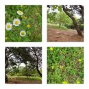 침산경로당 이미지