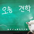 (주)팜스온 이미지