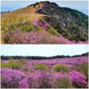 경기광주 산유랑 토요산악회 창녕 화왕산(4/8) 이미지