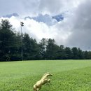 서남120 | 국내ɢᴏʟғ | 경기권 회원제 골프장 ‘ 발리오스 cc ʙᴀʟɪᴏs ᴄᴄ ‘서남코스 라운드 후기