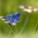 넘버25 동성로점 이미지