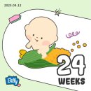 진일미용실 | [임신 21-24주 기록] 활동량 최고치, 날개뼈 등(능형근) 통증 시작, 점점 볼록해지는 배, 임산부 요가...