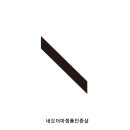 그림;스킨바디 이미지