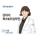 일원동 동물병원 추천 강아지 우심부전, 폐성고혈압 치료/복수 증상 치료-복수천자 후기