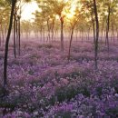 제성한의원 이미지