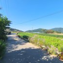 삼웅2리마을회관 이미지