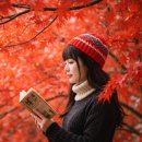 자유시장(권약국 건너편 버스정류장) | 올가을, 나를 위한 선물! 여자 혼자 떠나는 뚜벅이 감성 여행지 BEST 3