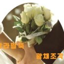 비비메디컬 네이버블로그