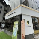 춘천 카페라떼 맛집 댄싱컵 춘천 근화점 후기