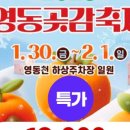 로망스투어