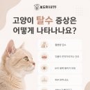 구미옥계동물병원