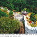 온천천일대9 이미지