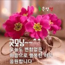 2월19일 월요일 서경방 출석부 ~♡ 이미지