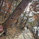 경기둘레길 포천15코스 이미지