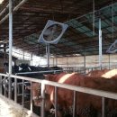 솔밭목장 이미지