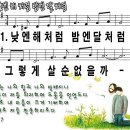 낮엔해처럼밤엔달처럼 이미지