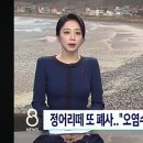 정어리떼 또폐사.."오염수탓" 외신에 릴'화들짝' 이미지