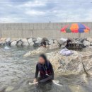 장호2리 | [25-0809] 강원도 삼척 장호항 (장호해수욕장)