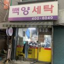 백양세탁 이미지