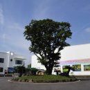 제주아트랜드 이미지