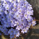 금광오산로 이미지