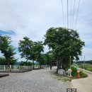 경기 파주 애견동반 강나루 야영장 2박 3일 (가을이랑 첫 캠핑장)