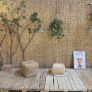 댄디애견 | [경기 안산] 애견동반 가능 대형 컨셉 스튜디오 ‘멀로스튜디오’