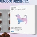 엔케이플러스 이미지