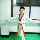 양림태권도장 이미지