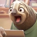 오로라캠프 이미지