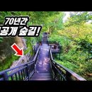 🚉 70년만에 개방된 도심 속 울창한 9km 하늘 숲길! 조선 왕가의 비밀의 숲 이미지