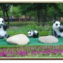 곰세마리 Daum카페