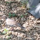 경천 농장 이미지