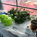 돈다산농장 이미지