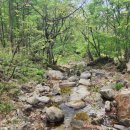 강릉 명 부동산 공인중개사사무소 이미지